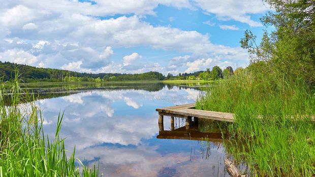 Stadtportal Mühlheim am Main | Stadtinformationen für Mühlheim am Main ...